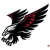 Adhésif pour fan nba Sticker_autocollant_logo_atlanta_hawks