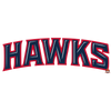 Sticker fan de basket nba