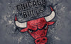 logo
basketball
NBA
Chicago Bulls