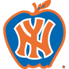 Sticker de décoration basket nba New_York_Kinicks - Sticker