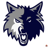 Sticker fan de basket nba Minnesota_Timberwolves - Sticker
